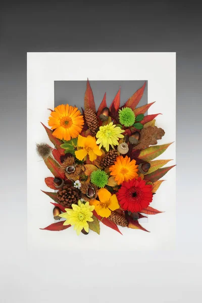 Autumn Harvest Festival Thanksgiving Background Frame Leaves Nuts Flowers Nature — Stock Photo, Image