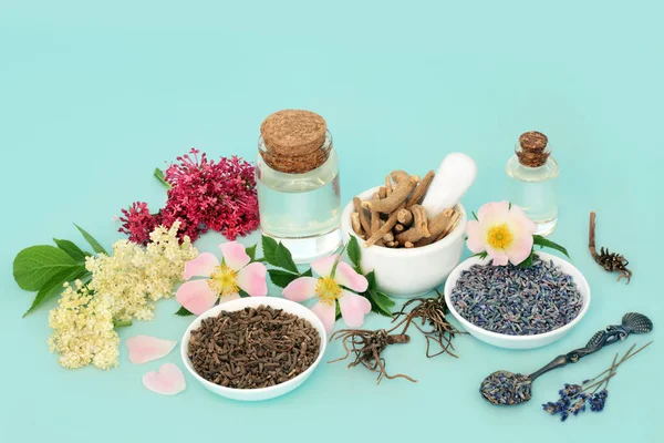 Homöopathische Zubereitung Alternativer Pflanzlicher Medizin Baldrianwurzel Lavendel Holunder Wildrose Und — Stockfoto