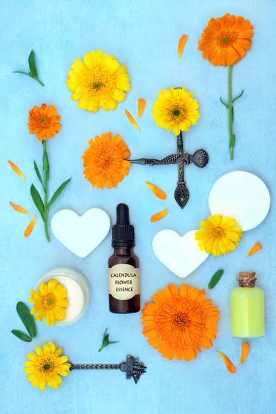 Calendula Flowers Alternative Plant Based Essential Oil Natural Skincare Flower — Stock Photo, Image