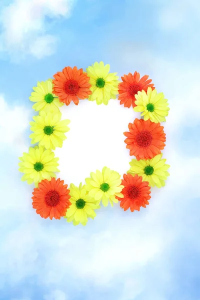 Chrysanthemum flower border on blue sky cloud background. Orange yellow flowers. Nature Spring Summer abstract frame composition, flat lay top view, copy space on white.
