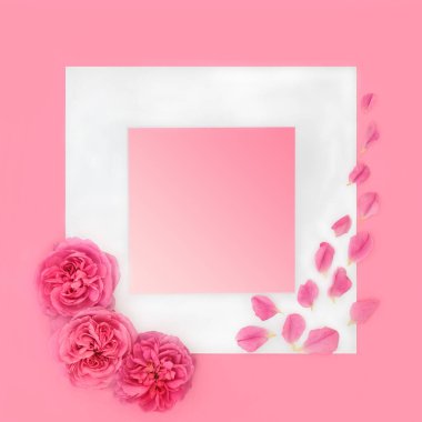 Anneler Günü çiçek sembolü pembe arka plan sınırında beyaz çerçeveli. Sevgililer Günü için soyut aşk konsepti, düğün, doğum günü. Üst Manzara. Boşluğu kopyala.