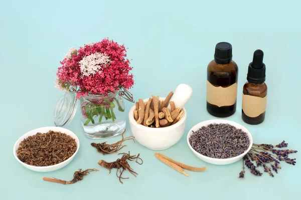 Adaptogen Stress Reducing Herbs Used Natural Herbal Plant Medicine Valerian — Stock Photo, Image