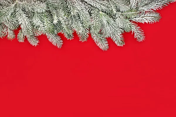 Рождественская Зимняя Ель Снежно Красный Фон Композиция Границы Минимальный Праздничный — стоковое фото