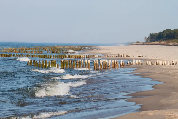波罗的海海岸 — 图库照片