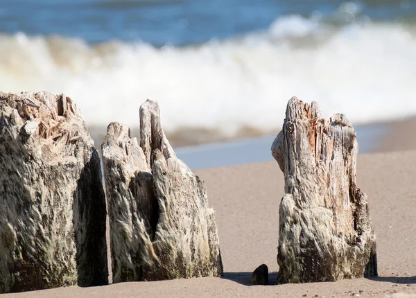 Oostzee — Stockfoto