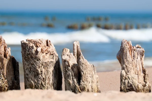 Oostzee — Stockfoto