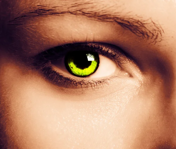 Beautiful eye — Stock Photo, Image