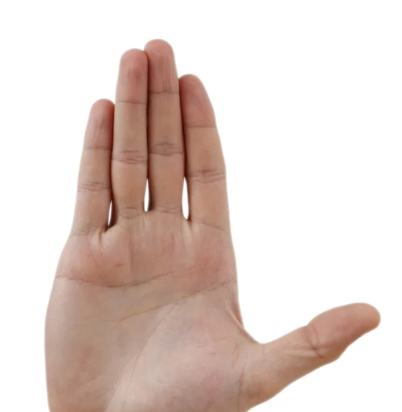 Hand isolated on white — Stock Photo, Image