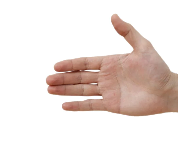 Hand isoliert auf weiß — Stockfoto