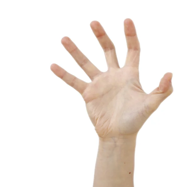Χέρι που απομονώνονται σε λευκό — Φωτογραφία Αρχείου