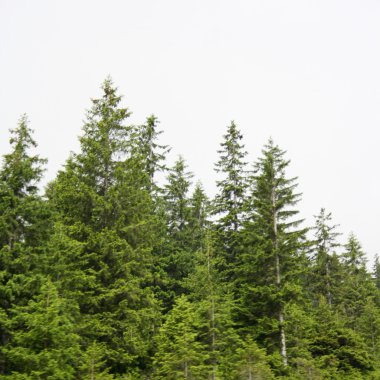 muhteşem dağ manzarası