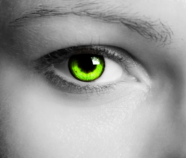 Beautiful eye — Stock Photo, Image