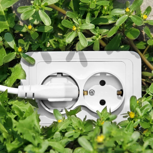 Power outlet in green grass — Stock Photo, Image