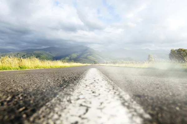 En medio de la carretera — Foto de Stock