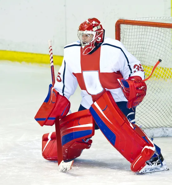 Eishockeytorwart — Stockfoto