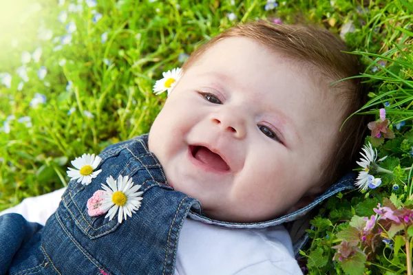 Bebê na grama verde com margarida — Fotografia de Stock