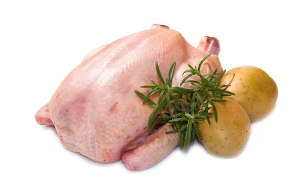Kyckling med potatis isolerad på vit bakgrund — Stockfoto