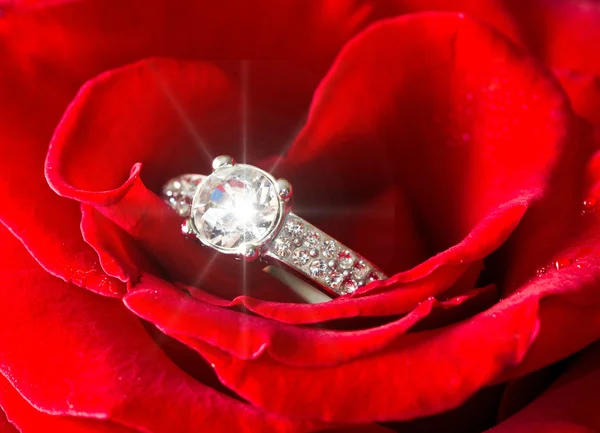 Gyllene diamantring och rose — Stockfoto