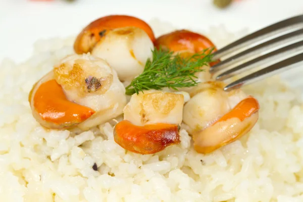 Risotto med grillade pilgrimsmusslor — Stockfoto