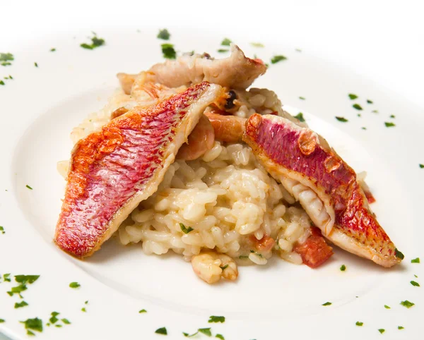 White dish with rice , red mullet fillets and seafood — Stock Photo, Image