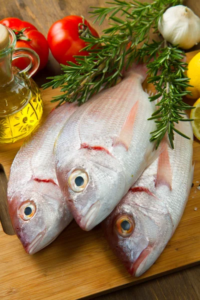 Sea bream — Stock Photo, Image