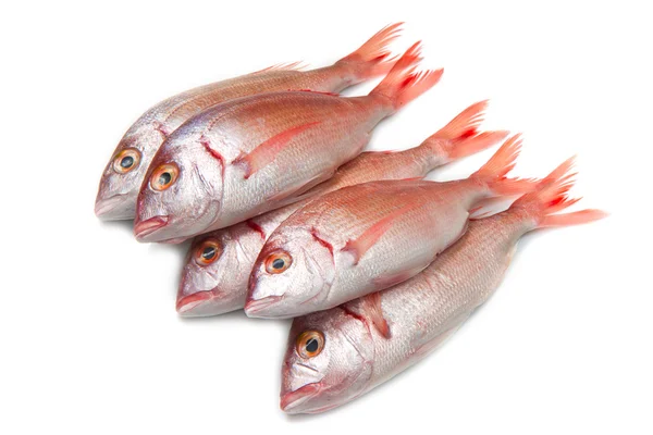 çipura