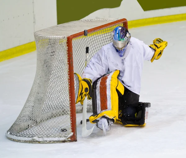 Jugador de hockey — Foto de Stock