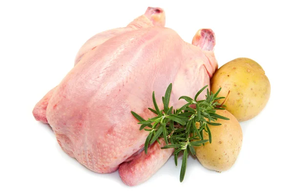 Pollo con patatas aisladas sobre fondo blanco — Foto de Stock