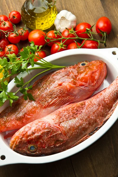 Redfish with tomatoes, parsley, garlic and olve oil — Stock Photo, Image