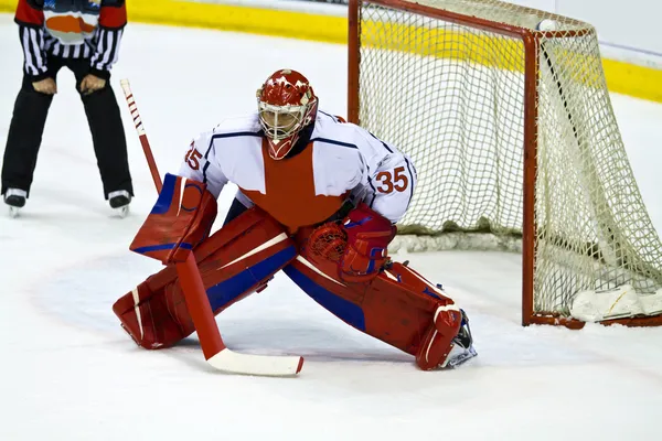 Gardien de hockey — Photo