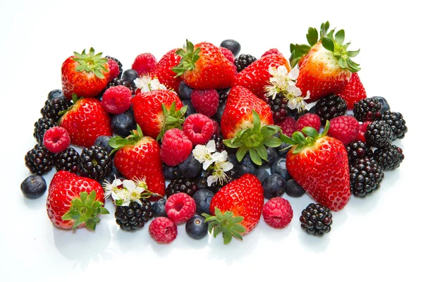 Berries on white Background — Stock Photo, Image