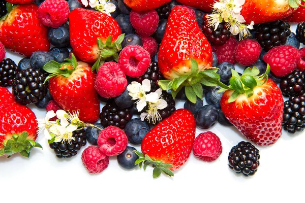 Berries on white Background — Stock Photo, Image