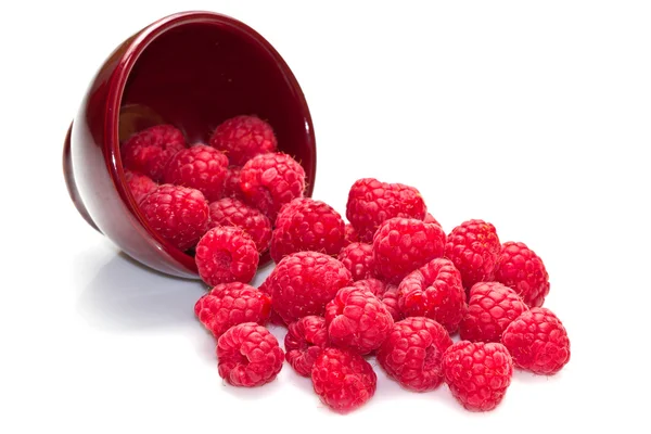 Raspberry segar tersebar di latar belakang putih — Stok Foto