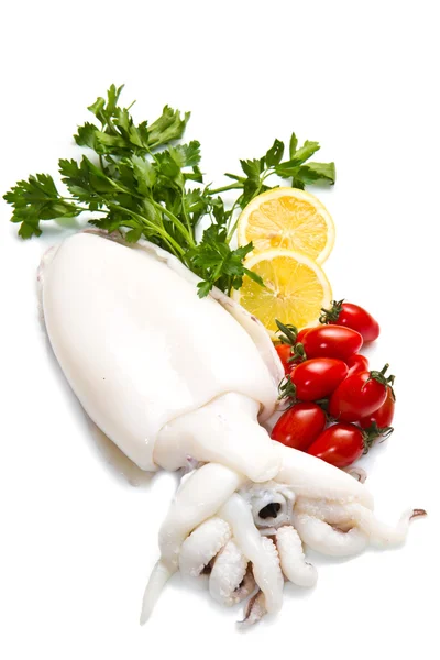 Fresh cuttlefish — Stock Photo, Image