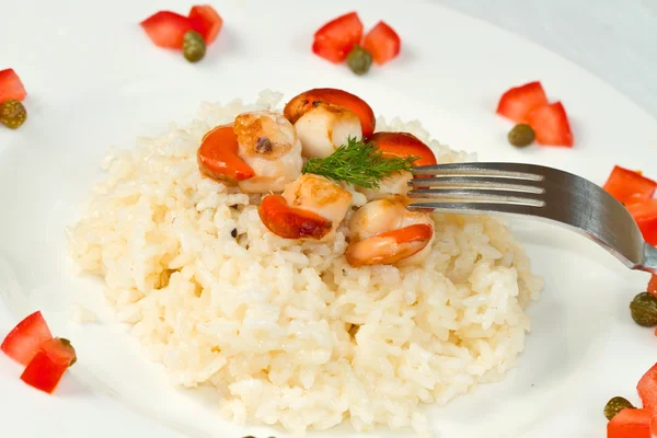 Risotto with grilled scallops — Stock Photo, Image