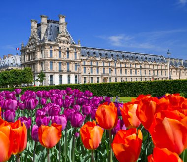 The Palace in the Luxembourg Gardens, Paris, France clipart