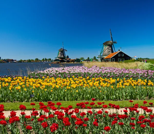 Moinho de vento na Holanda — Fotografia de Stock