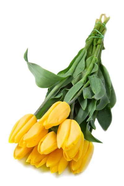 Beautiful bouquet of yellow tulips — Stock Photo, Image