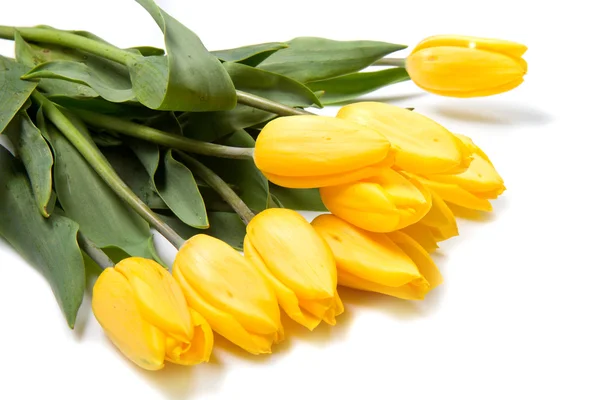 Hermoso ramo de tulipanes amarillos — Foto de Stock