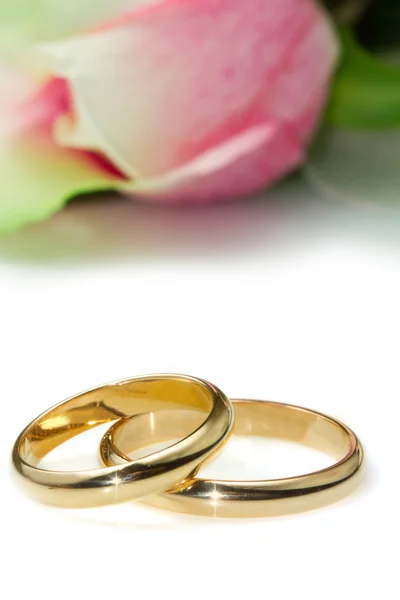 Anillos de boda y rosas rosadas — Foto de Stock