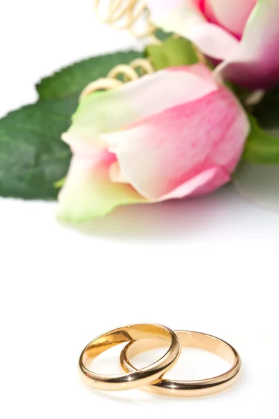 Anillos de boda y rosas rosadas sobre fondo blanco — Foto de Stock