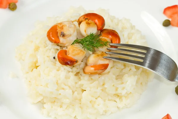 Risotto with grilled scallops — Stock Photo, Image