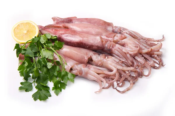A group of fresh squid with lemon and parsley — Stock Photo, Image