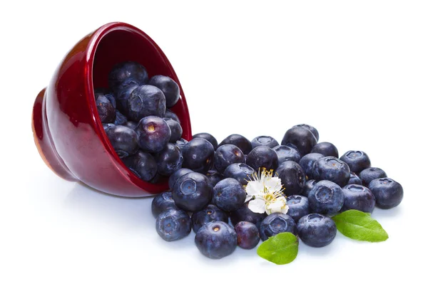 Blueberries in a bowl — Stock Photo, Image