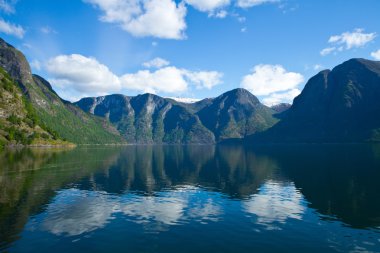 Norveç, İskandinavya, Avrupa. güzel fiyort ve sahil.