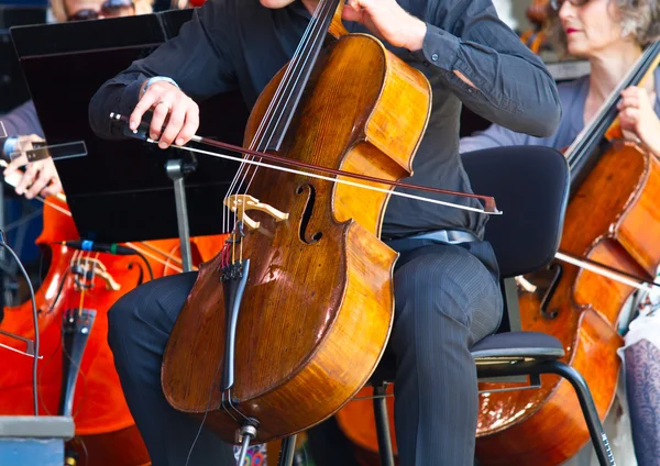 Close-up of cellos being played in a concert — Stock Photo, Image