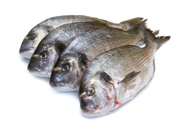 group of sea bream clipart