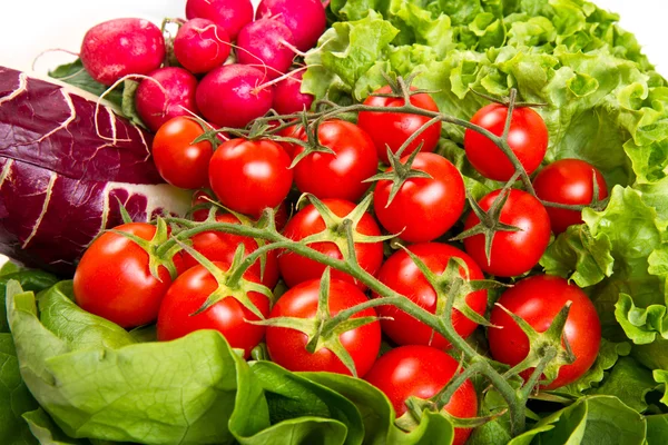 Pomodorini con insalata — Foto Stock