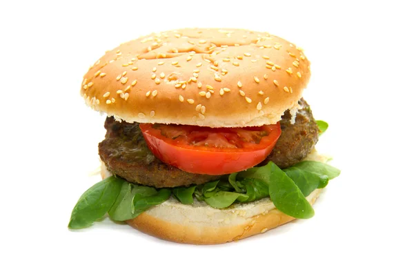 Hamburger panino con patatine fritte — Foto Stock