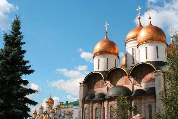 Famosa Cattedrale dell'Annunciazione e Arcangelo — Foto Stock